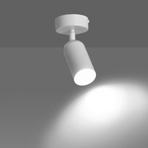 Lampa sufitowa HERA 1 WHITE tuby metal spot biała