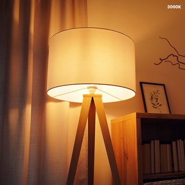 Żarówka LED 5W E14 G45 3000K