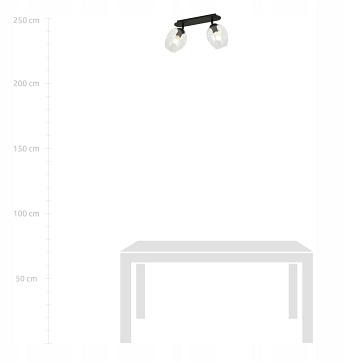 Lampa sufitowa FLOW 2 BL TRANSPARENT loft klosz czarna