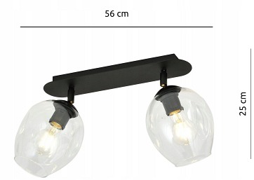 Lampa sufitowa FLOW 2 BL TRANSPARENT loft klosz czarna